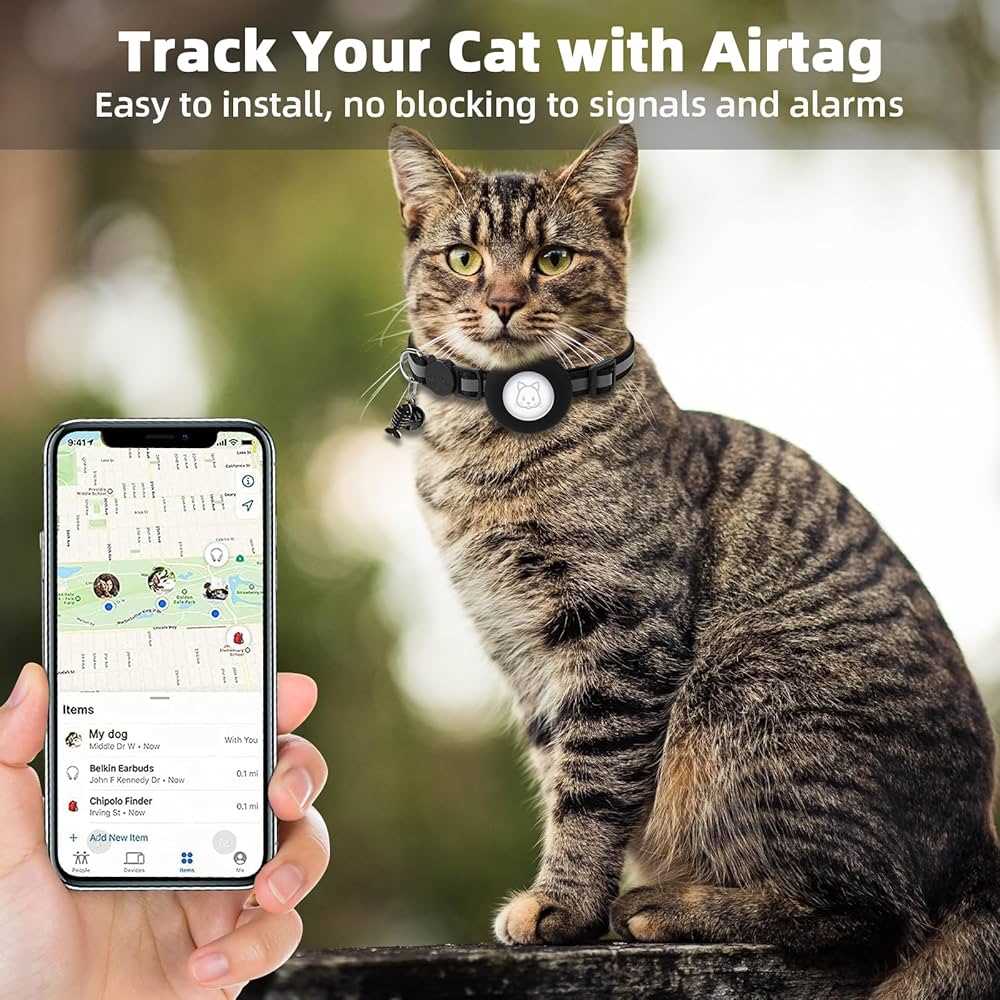 Tracking Solutions for Felines