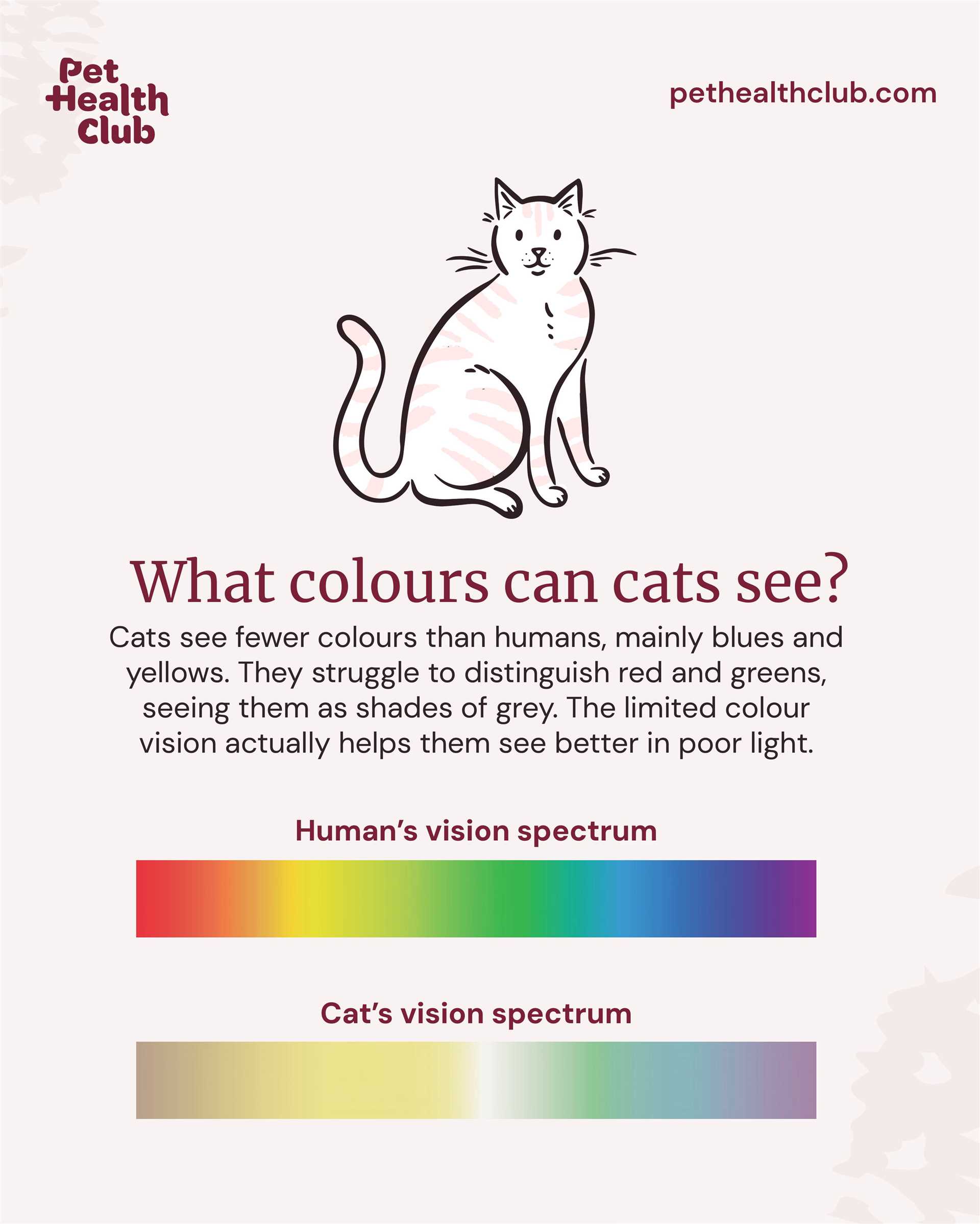 Understanding the Color Perception of Cats