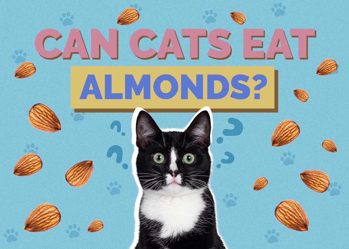 Commercial Treats