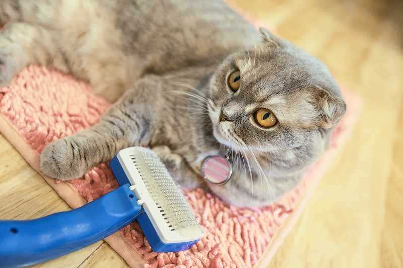 Tips for Reducing Allergens in Your Home