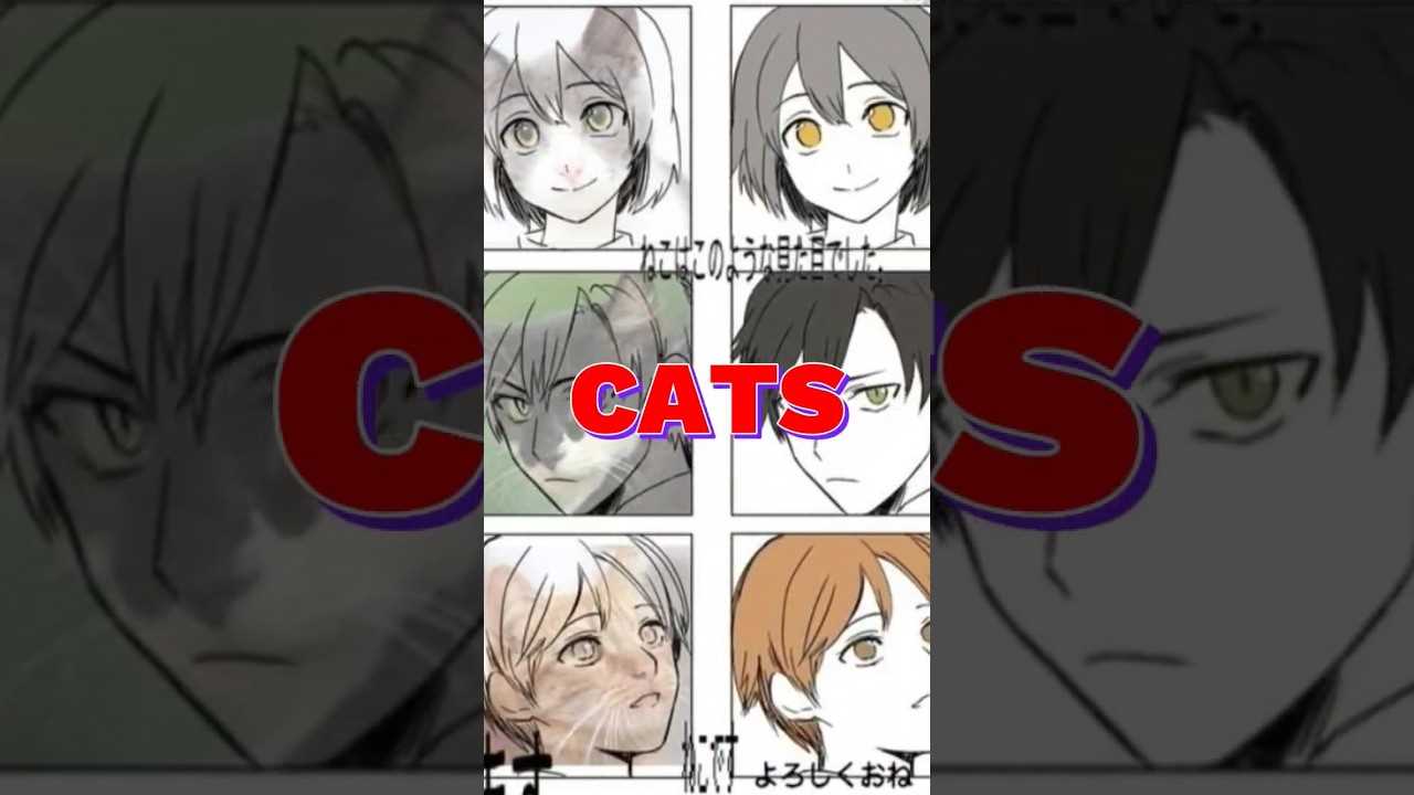 Identifying Cat-Inspired Traits in Popular Anime Characters