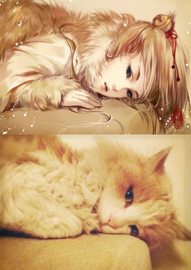 Examining the Influence of Cat Features in Character Design