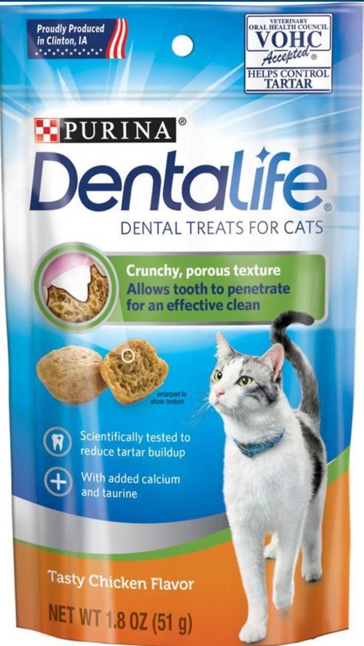 How These Chewables Impact Feline Oral Health