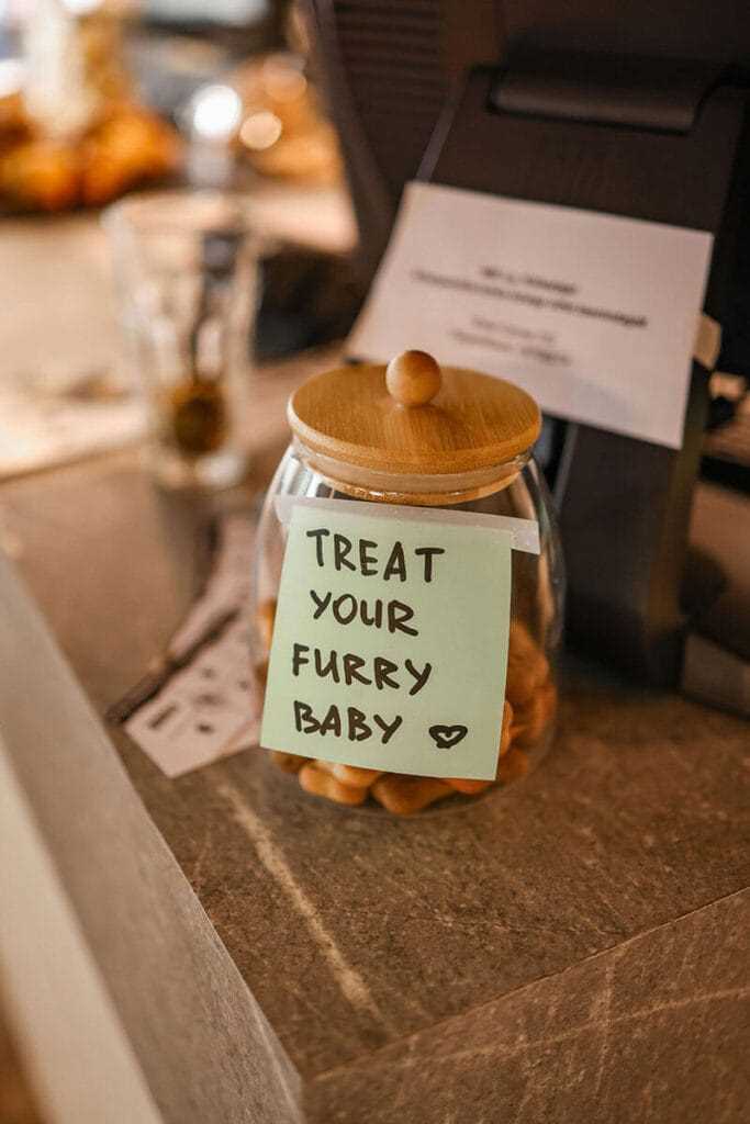 How to Incorporate Treats into a Balanced Diet