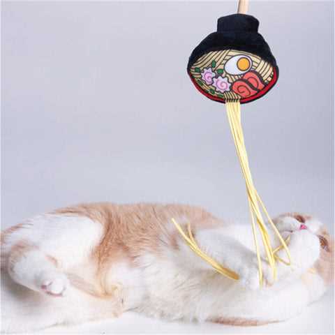 Best accessories for cats