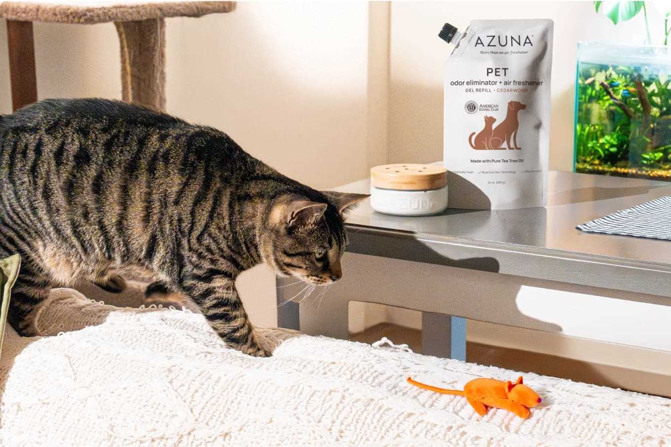 Best air freshener for cats