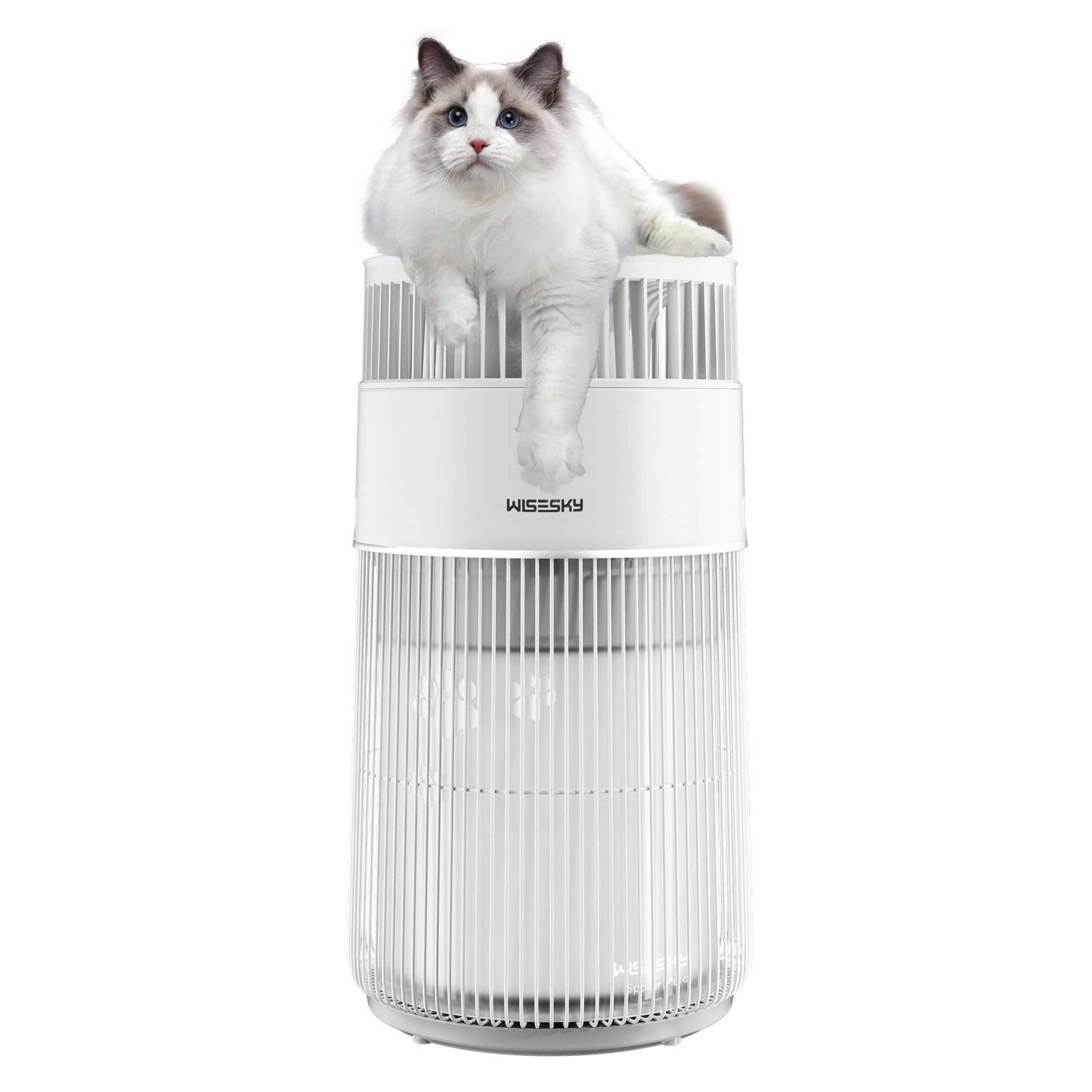 Best air purifiers for cats