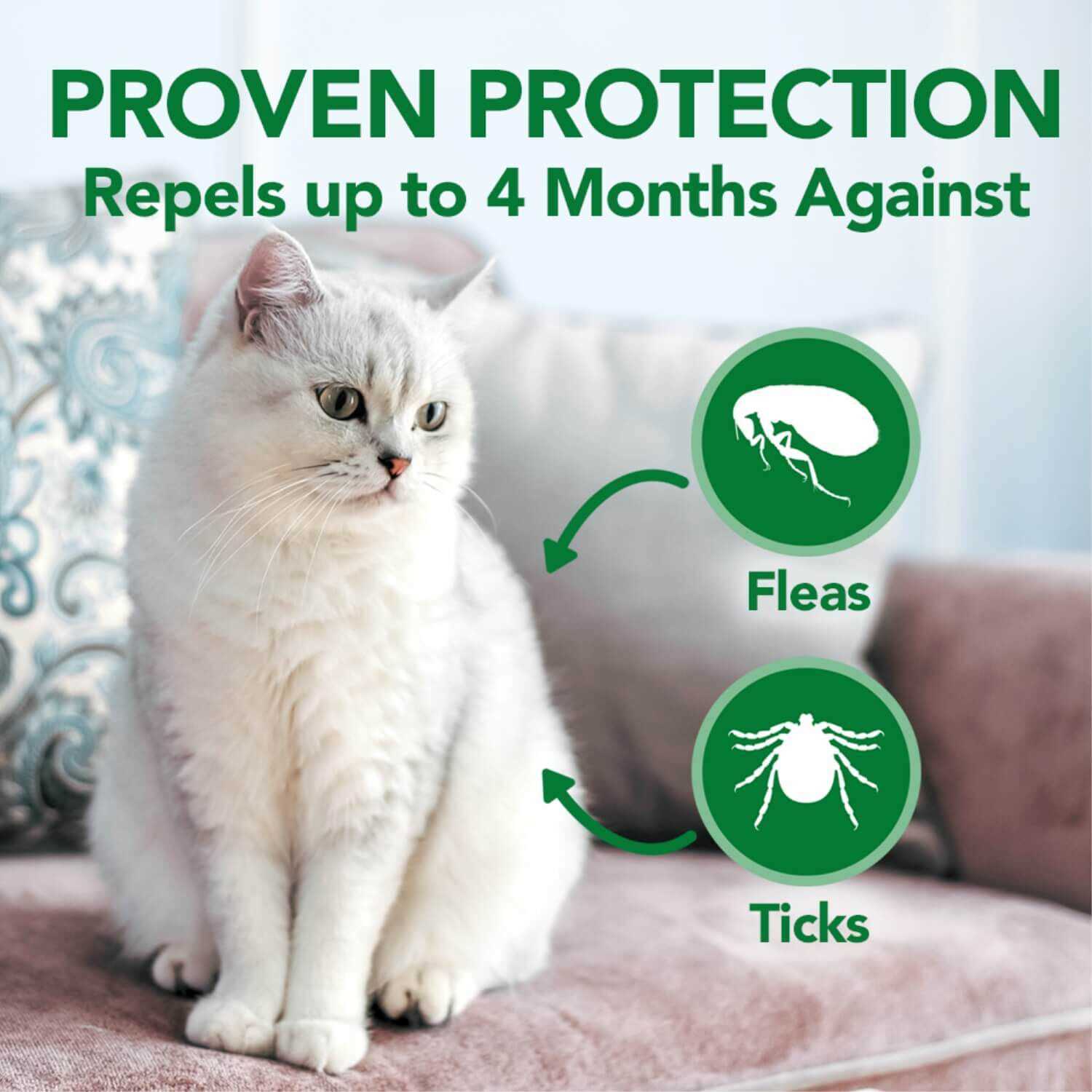 Best all natural flea collar for cats