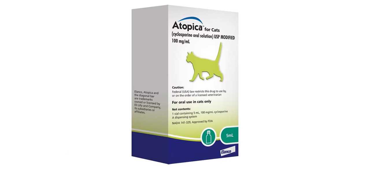 Best allergy medication for cats