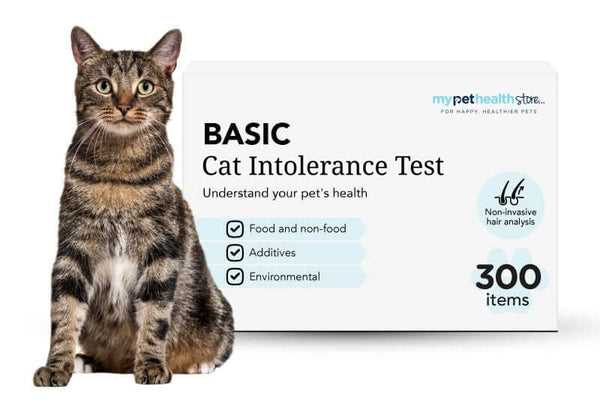 Best allergy test for cats
