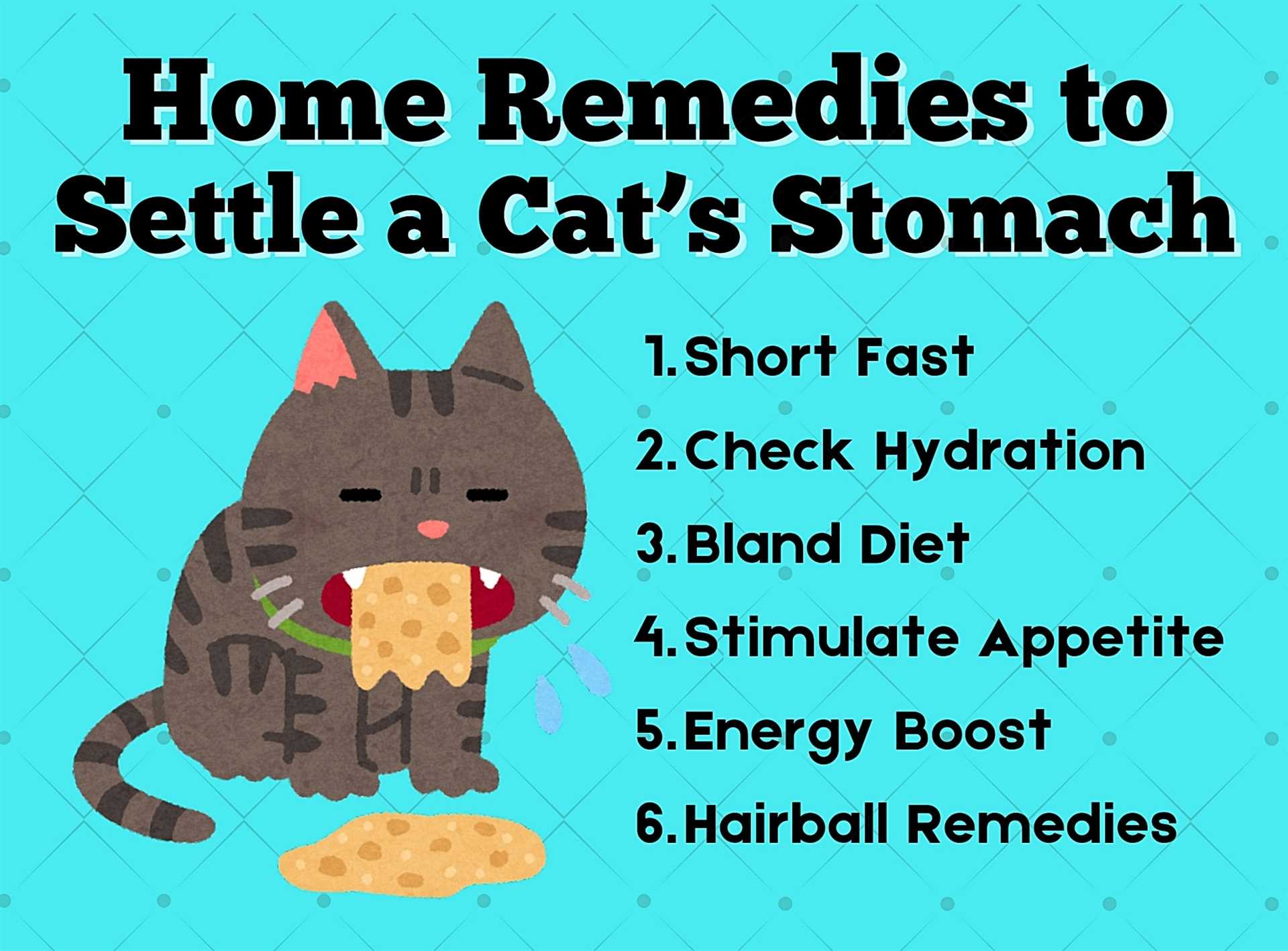 Best antacid for cats