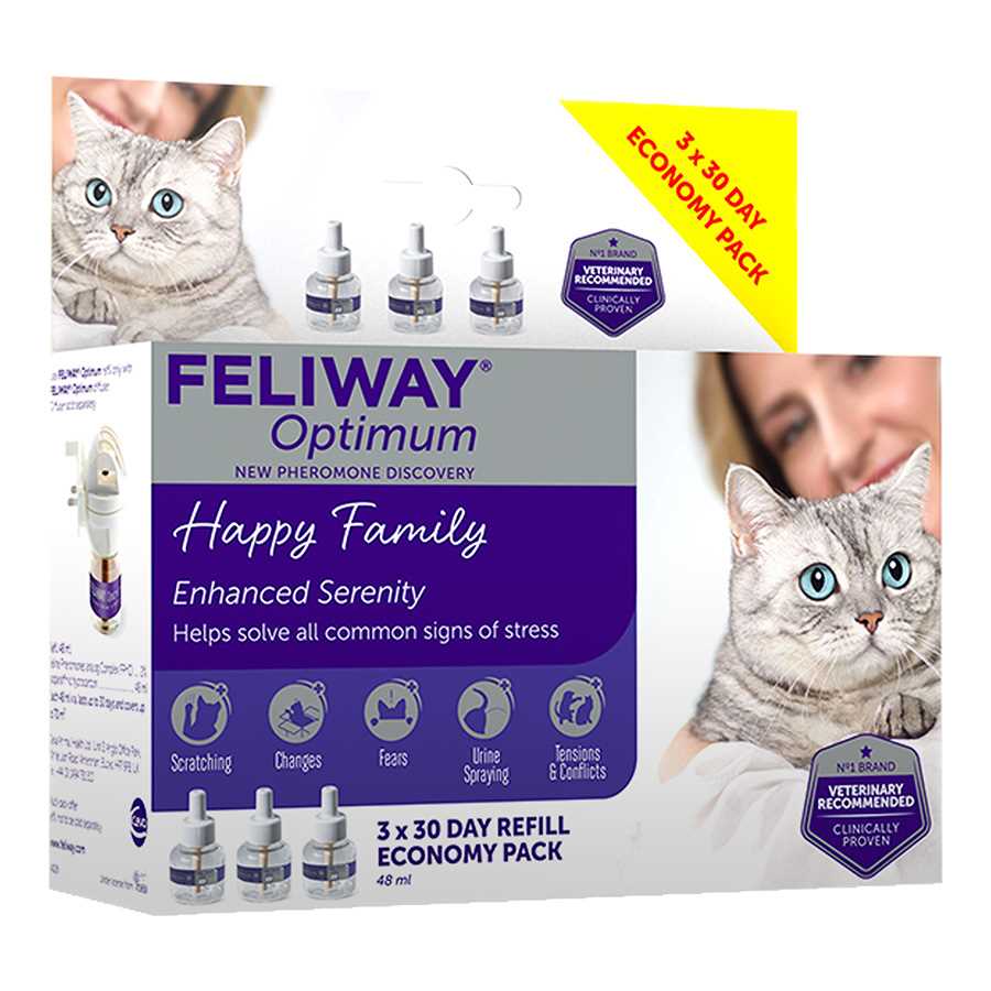 Best anti anxiety medication for cats