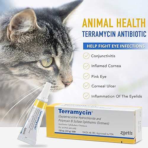 Best antibiotic ointment for cats over the counter