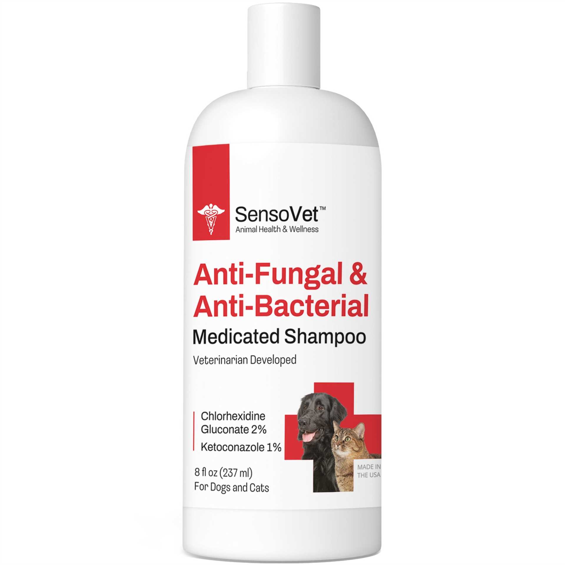 Best antifungal shampoo for cats