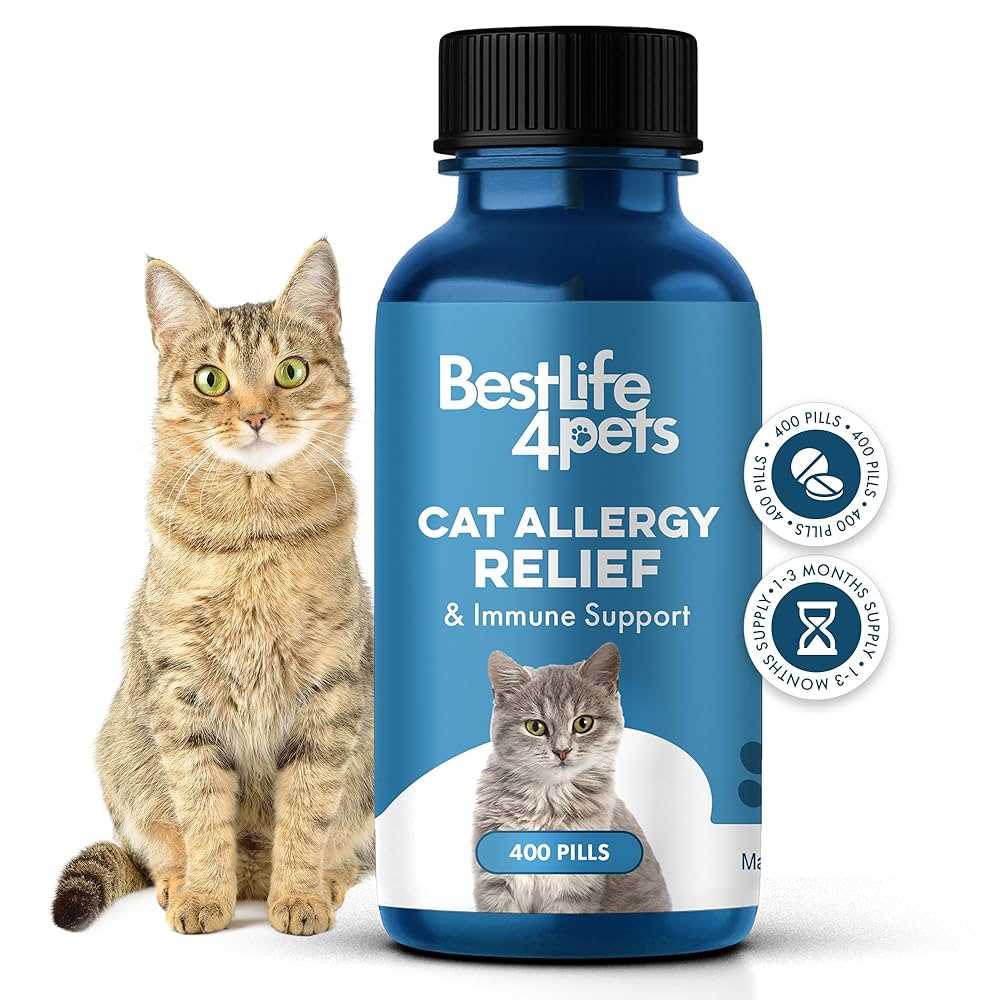 Best arthritis medicine for cats