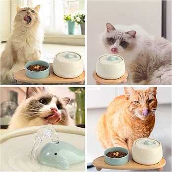 Best automatic water bowl for cats