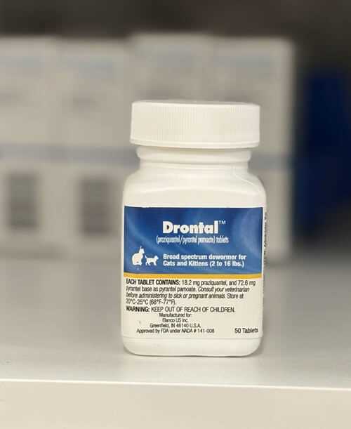 Best broad spectrum dewormer for cats