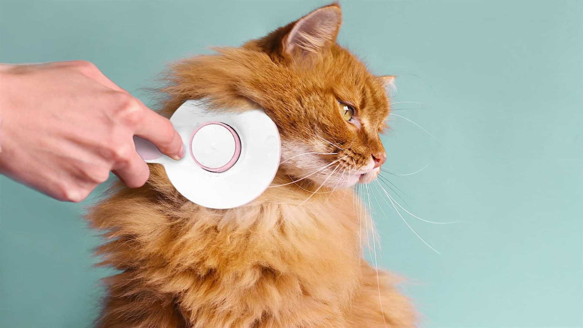 Best brush for medium hair cats