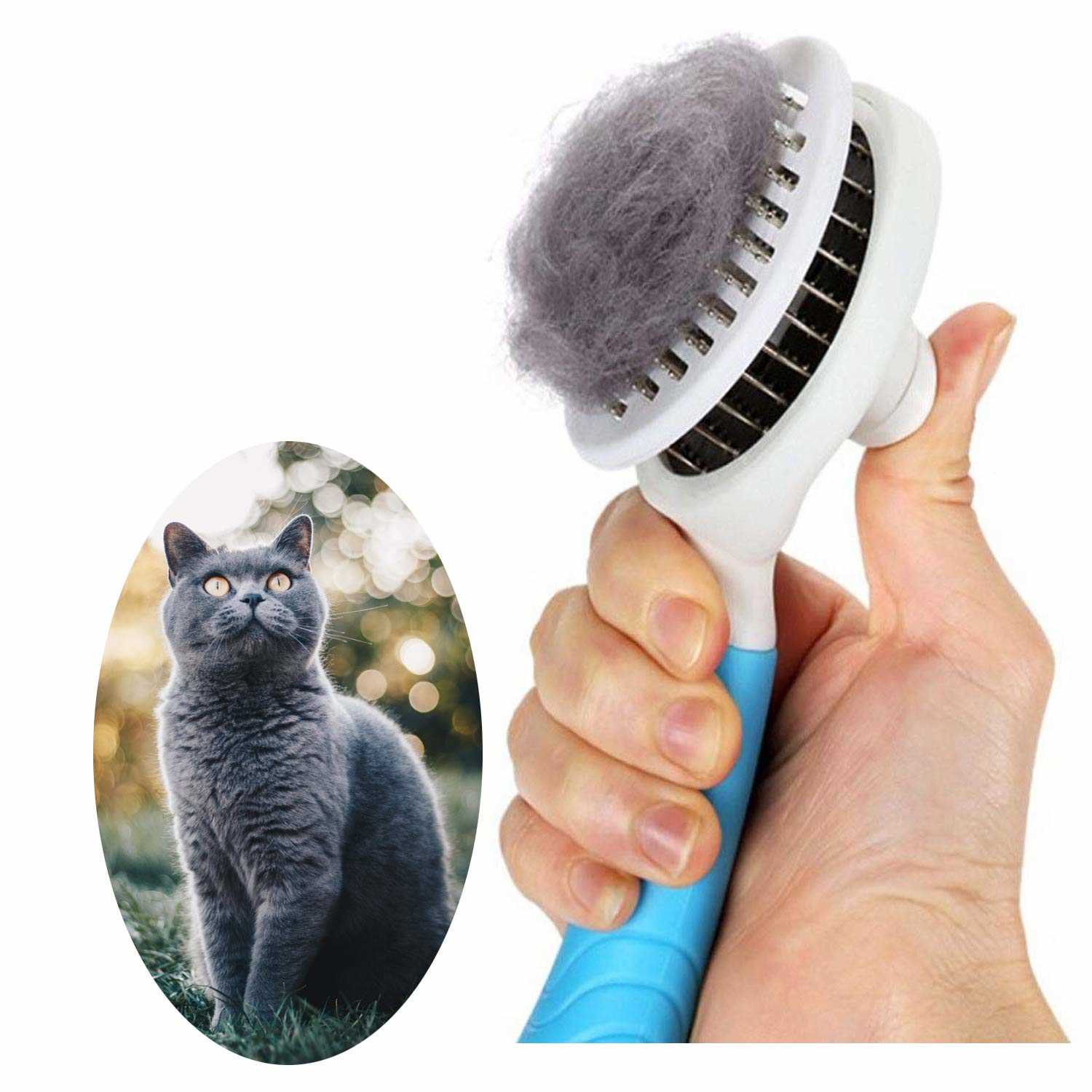 Best brush for short haired cats