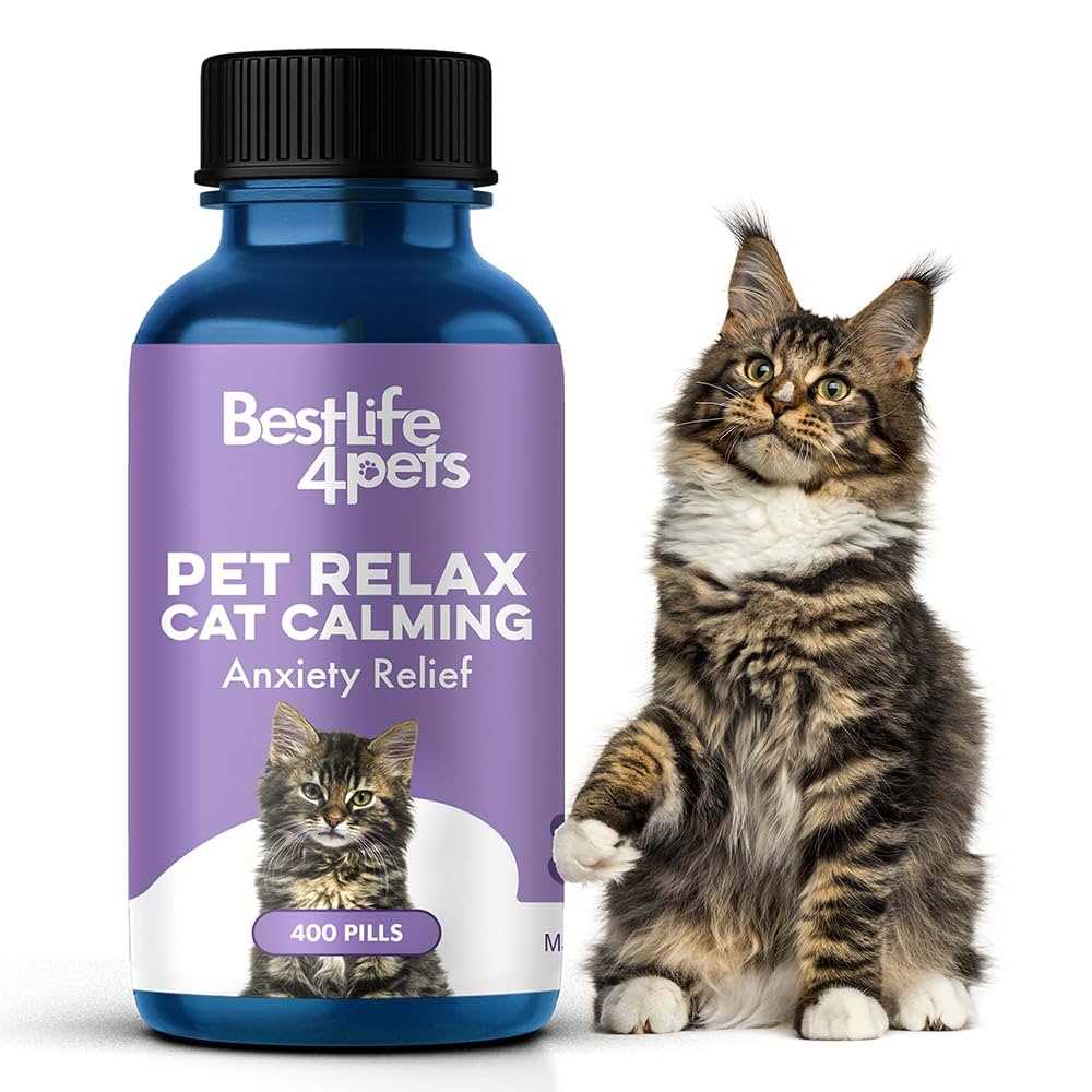Best calming aid for cats for travel