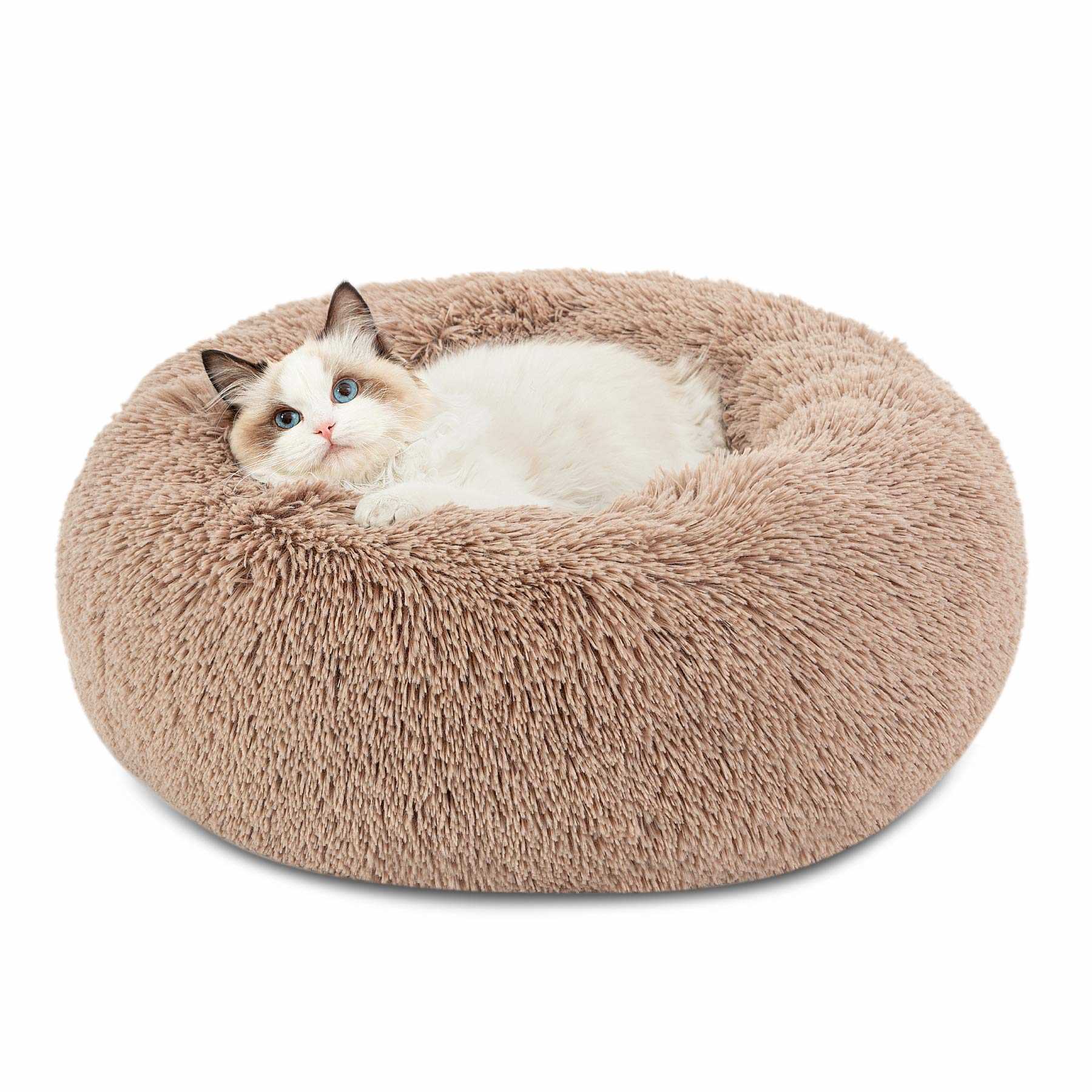 Best calming bed for cats