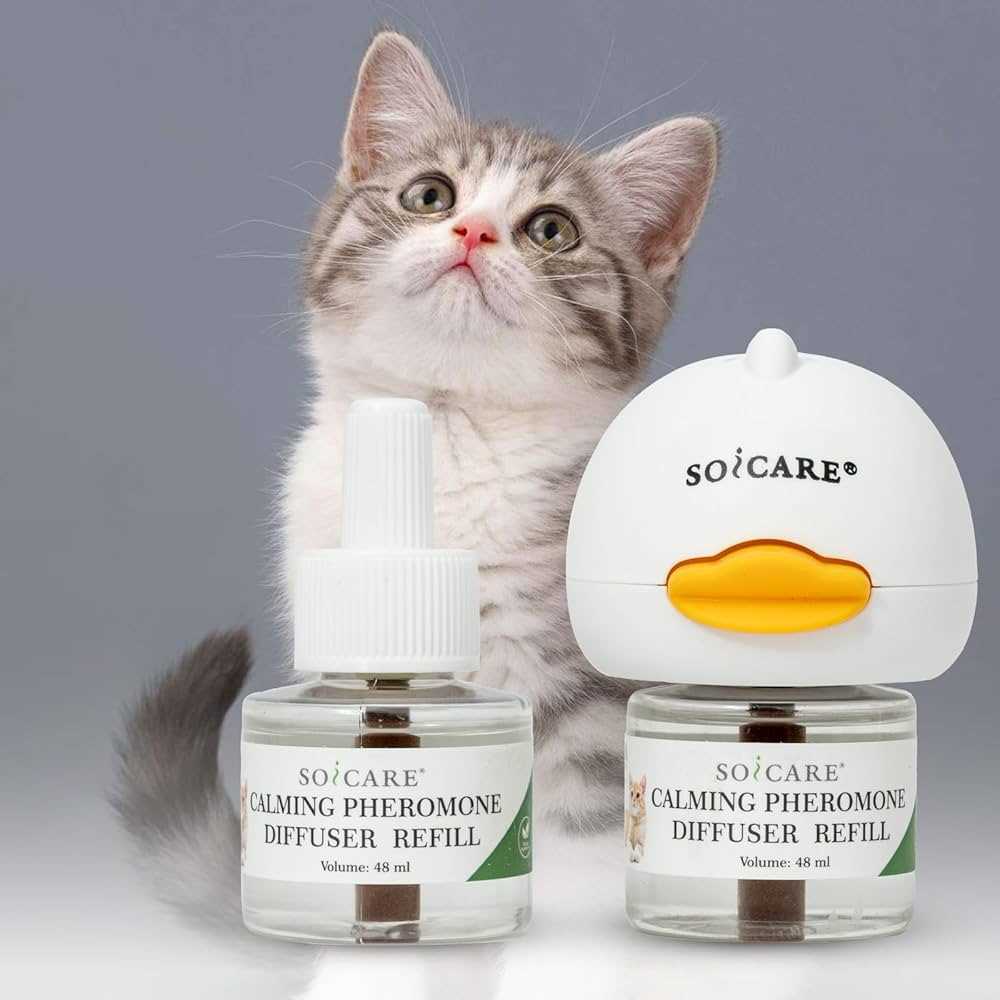 Best calming diffuser for cats