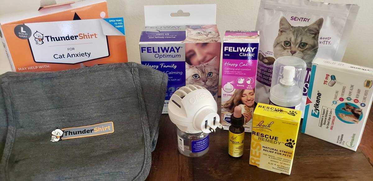 Best calming pheromones for cats