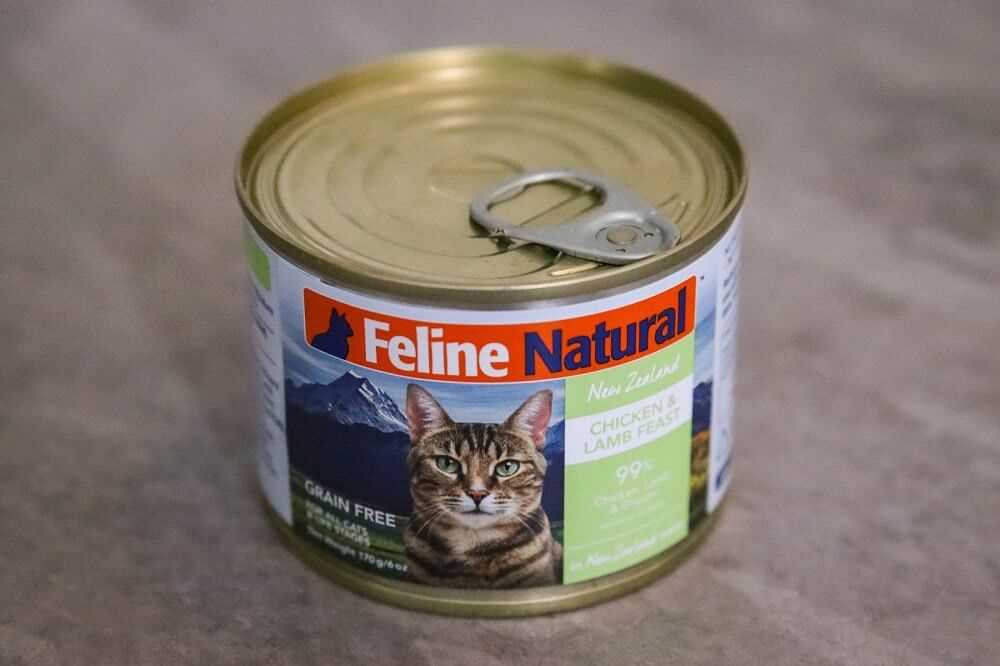 Best canned cat food for cats with diarrhea