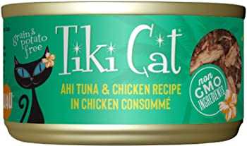 Best canned cat food for diabetic cats
