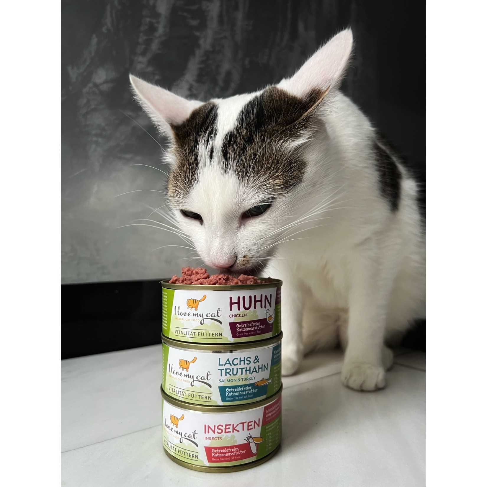 Best canned food for cats with sensitive stomachs