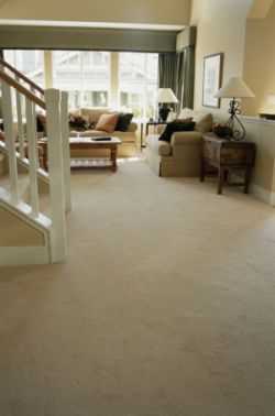 Best carpet for cats that scratch