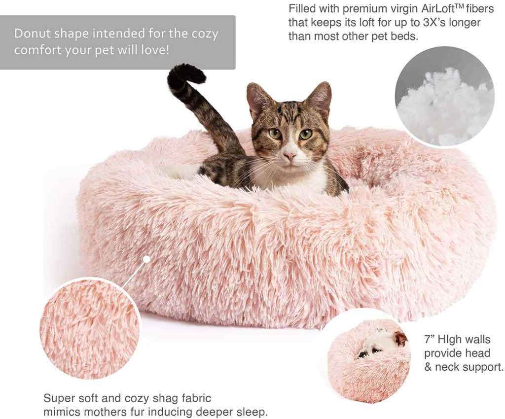 Best cat bed for indoor cats