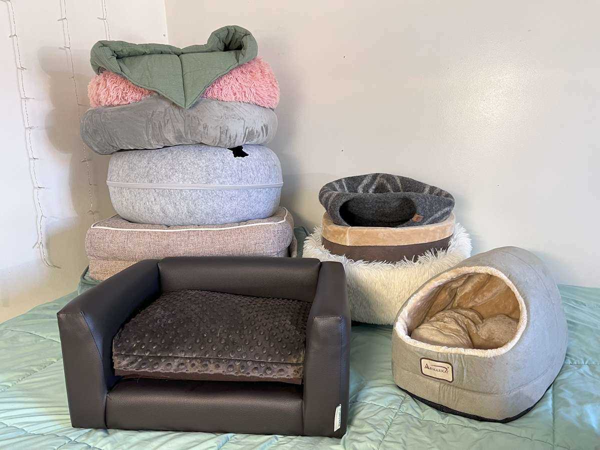 Best cat beds for senior cats