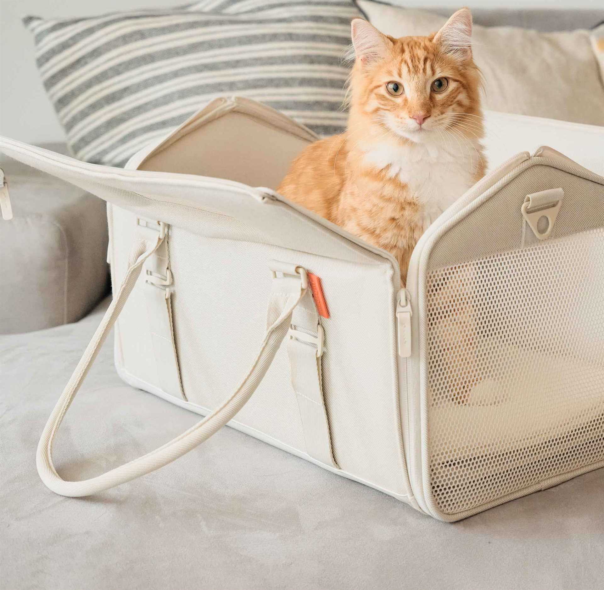 Best cat carrier for anxious cats