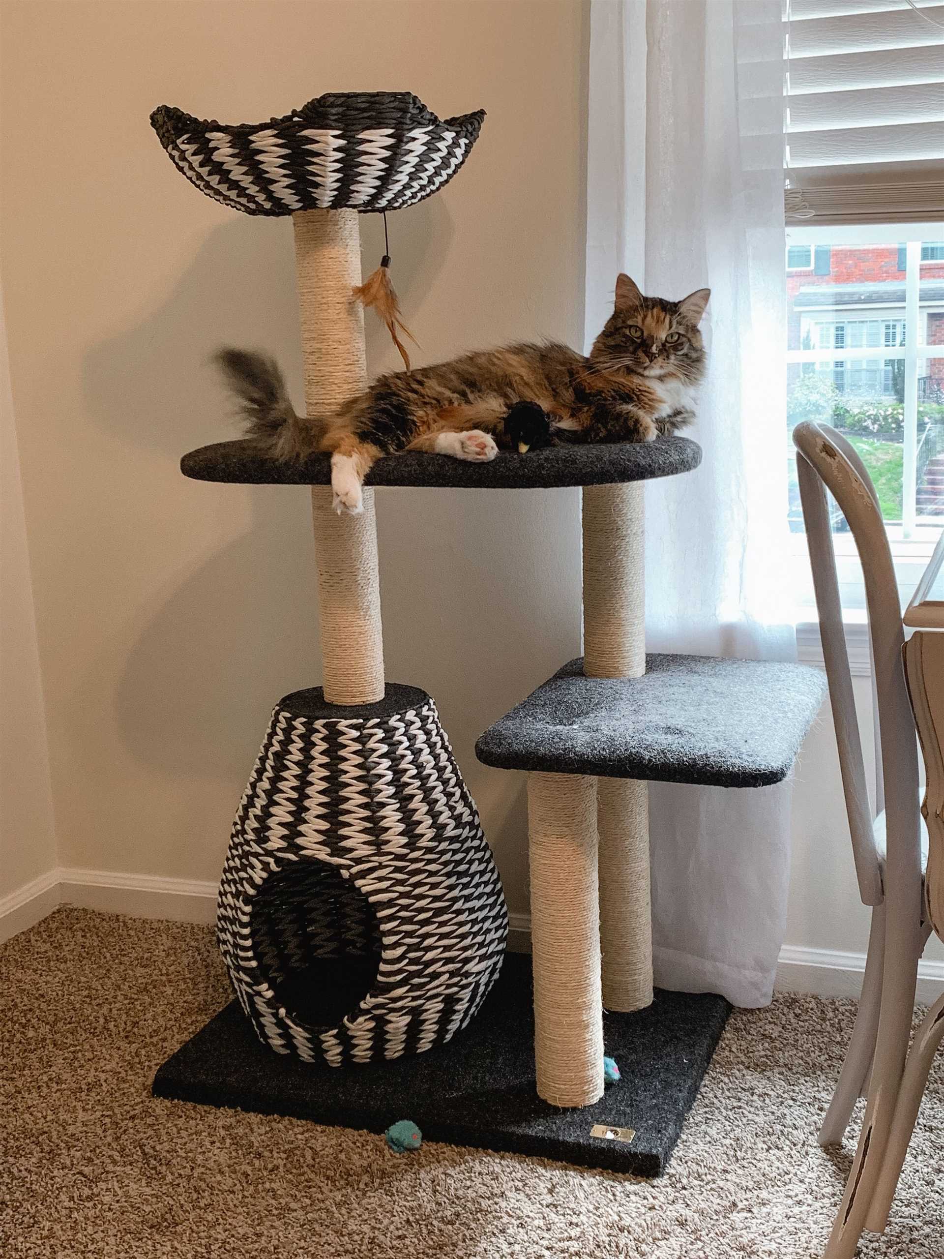 Best cat condo for big cats