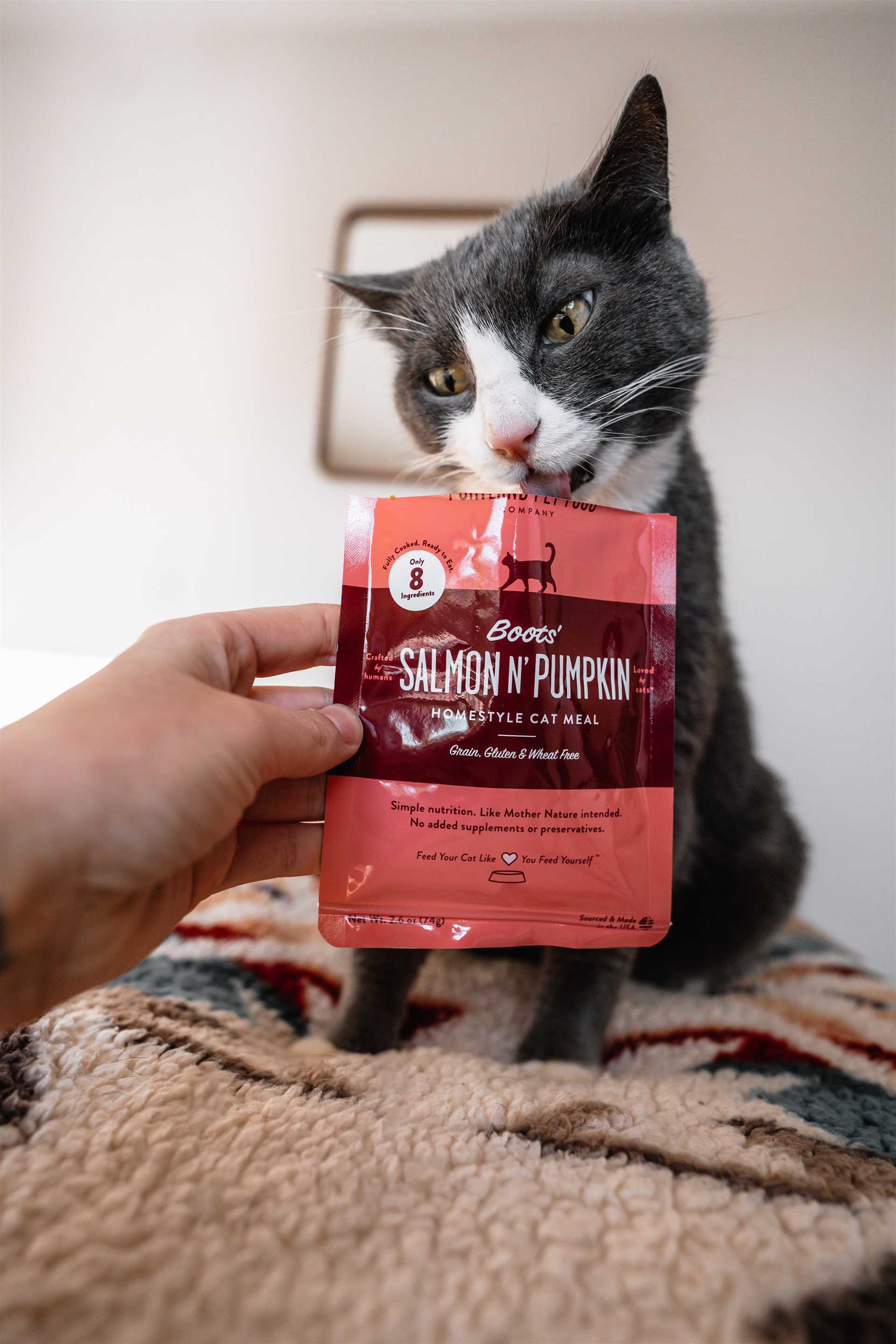 Best cat food for cats who throw up