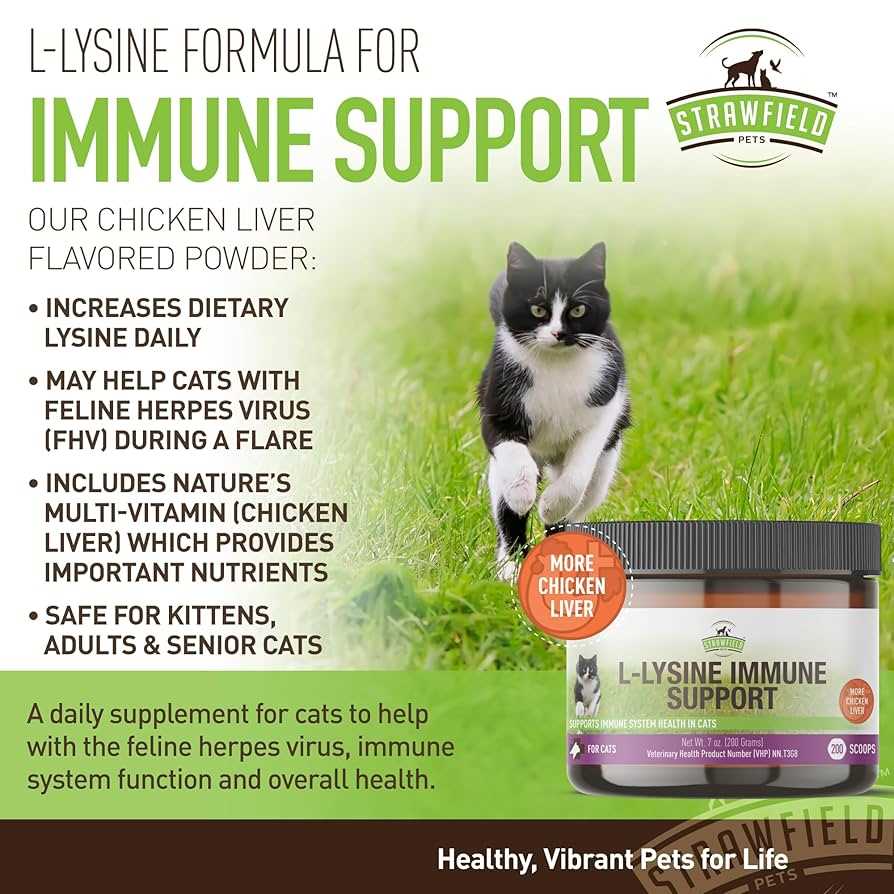 Best cat food for cats with feline herpes