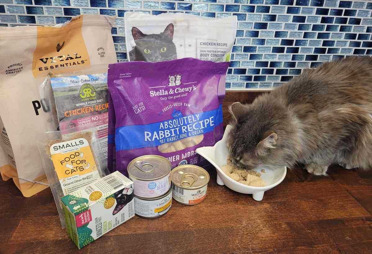 Best cat food for cats with ibd