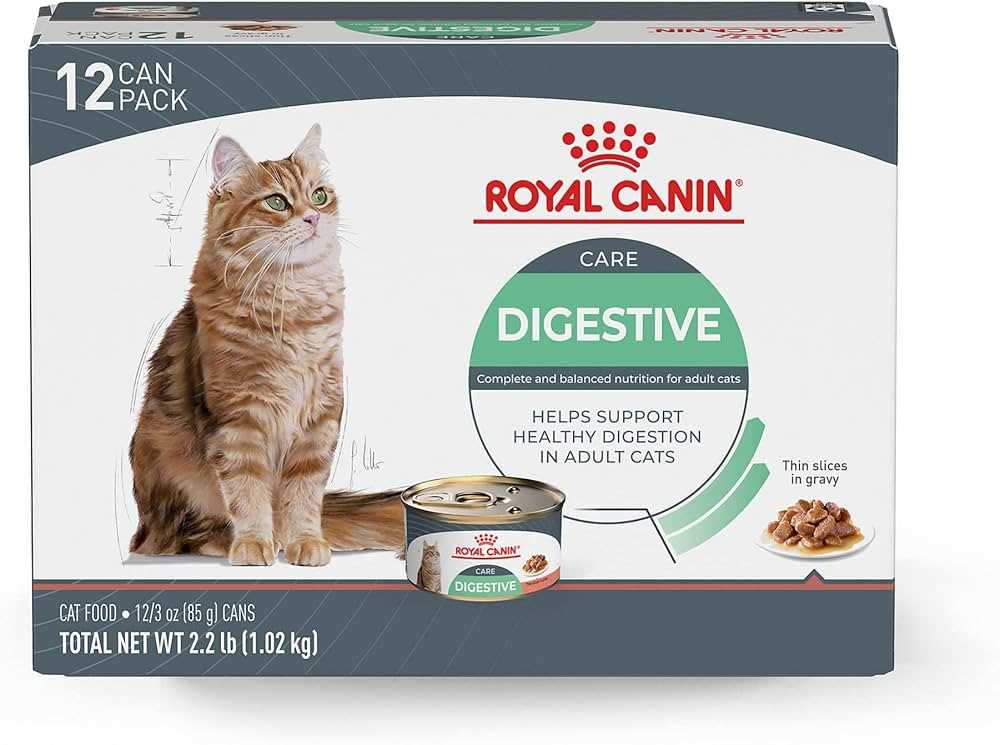 Best cat food for cats with ibs
