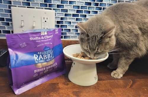 Best cat food for fussy cats