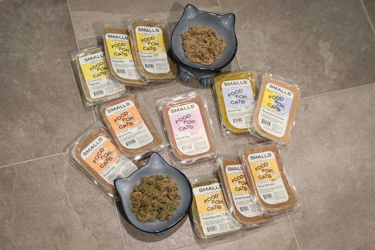Best cat food for himalayan cats