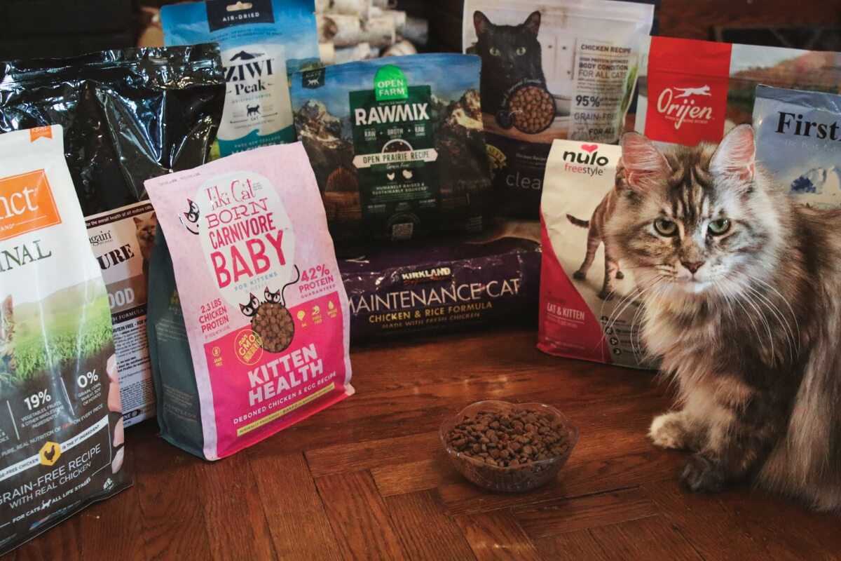 Best cat food for indoor outdoor cats