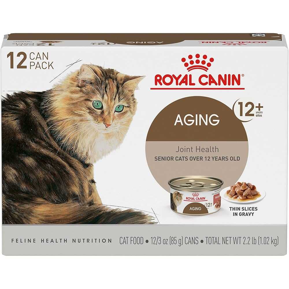 Best cat food for old skinny cats