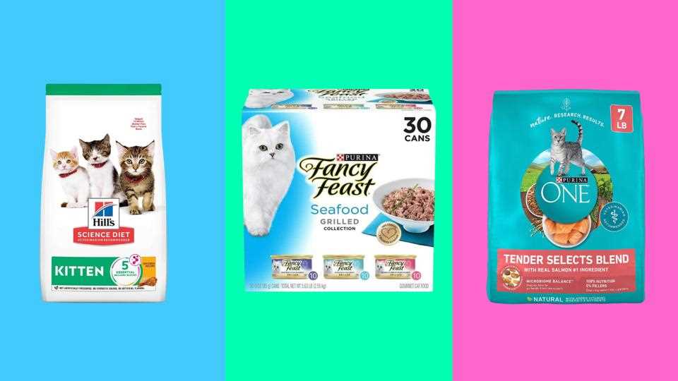 Best cat food for older cats losing weight