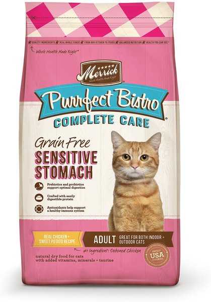Best cat food for older cats with sensitive stomachs