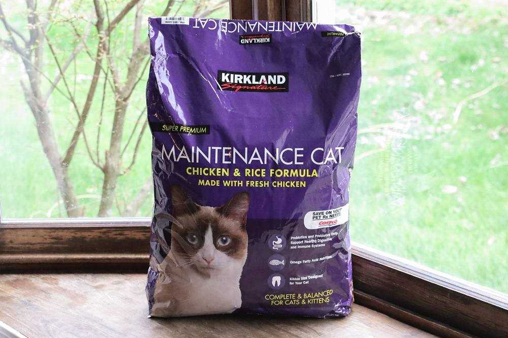 Best cat food for older outdoor cats