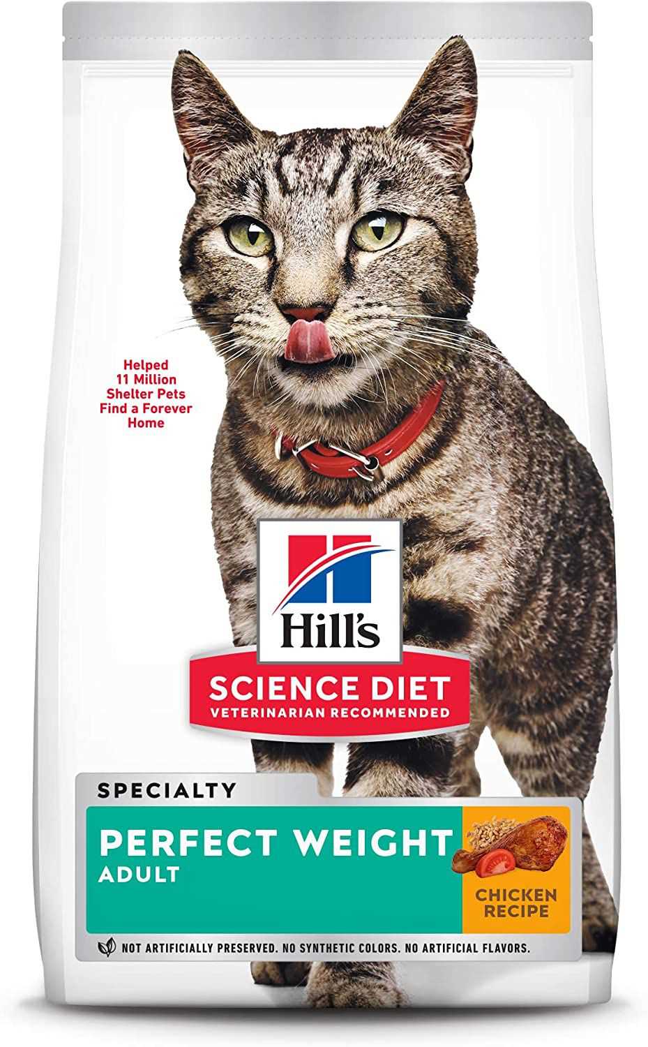 Best cat food for overweight senior cats