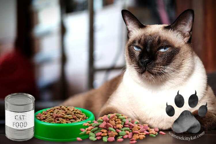 Best cat food for siamese cats