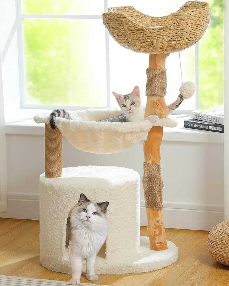 Best cat furniture for large cats