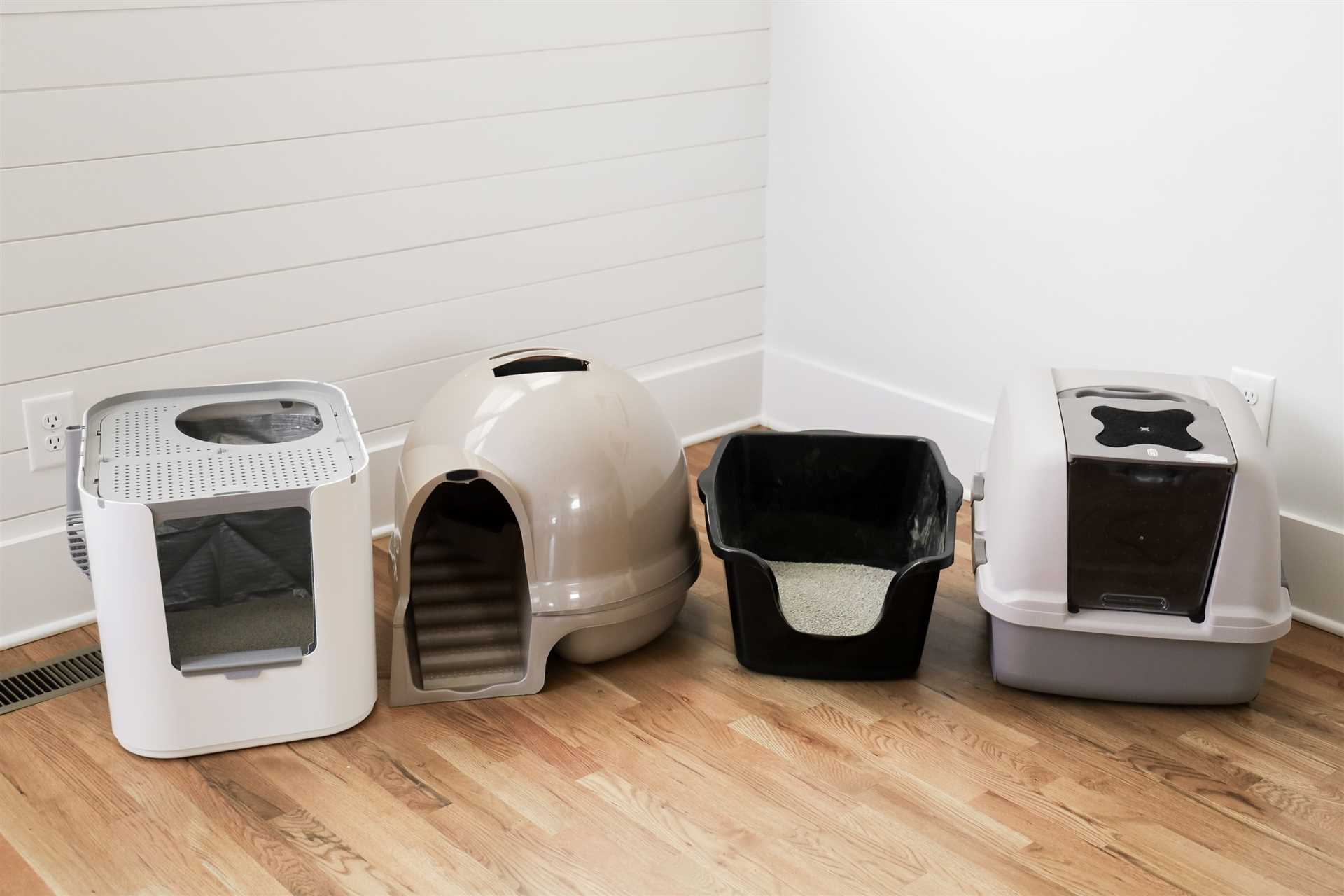Best cat litter box for large cats